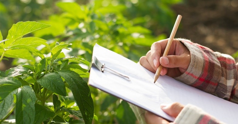 20 May 2021
Students encouraged to join thriving food and fibre sectors