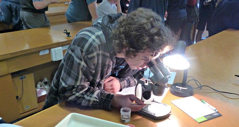 18 March 2015 
Project brings students back to nature