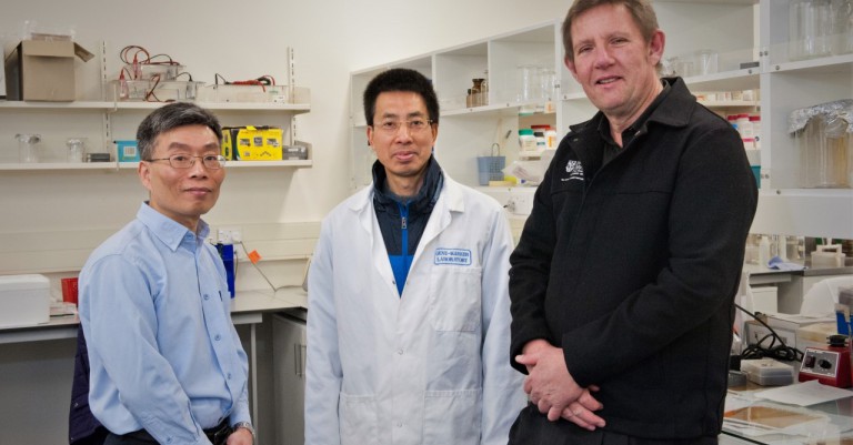 Photo: Dr Huitong Zhou, Freeman Fang and Professor Jon Hickford in their lab.