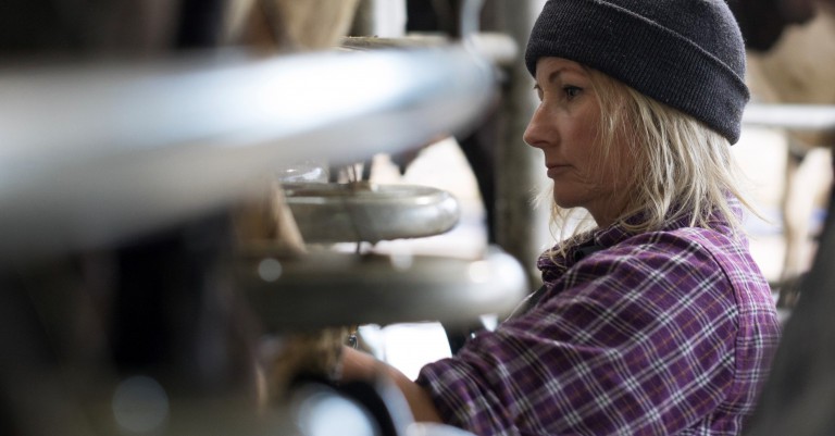 Farmers time in Matamata