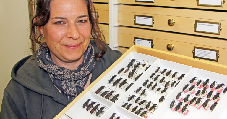 Research Technician Sally Ladbrook with some specimens from the new collection.