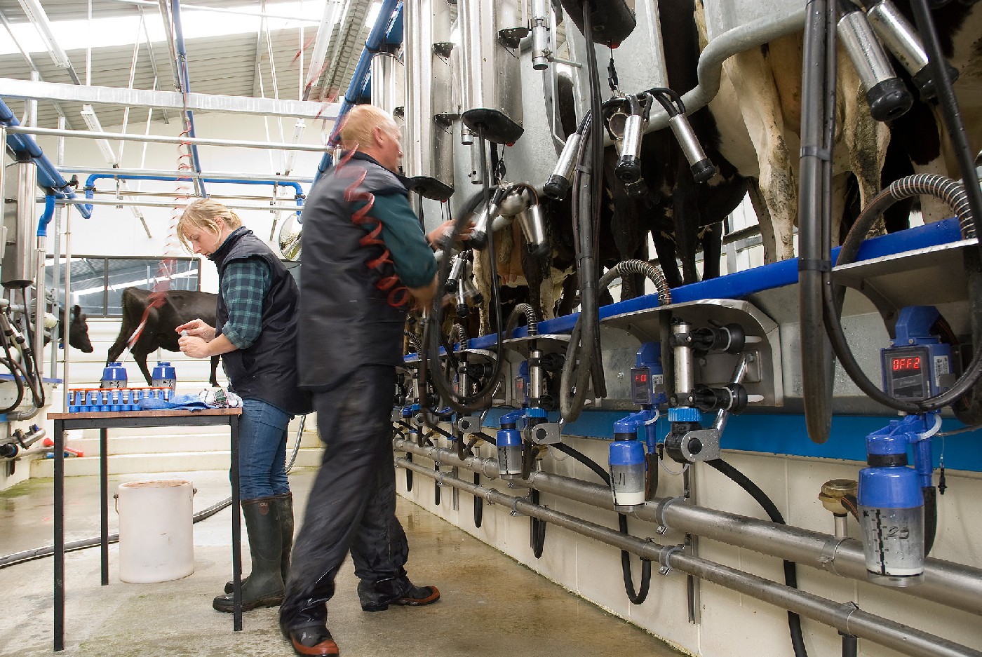 29 April 2010
Farmer-scientist collaboration helps agriculture and
the environment