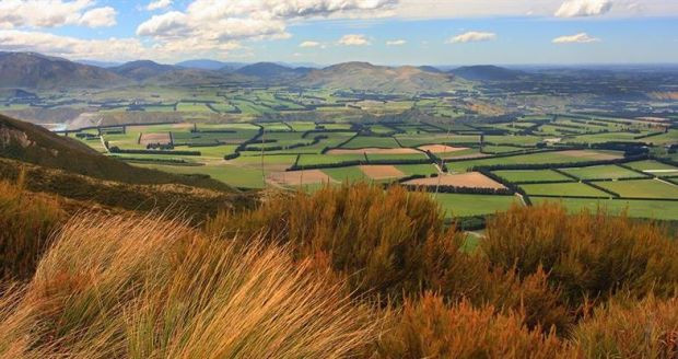 12 October 2009
Lincoln University - New Zealand's specialist land-based university