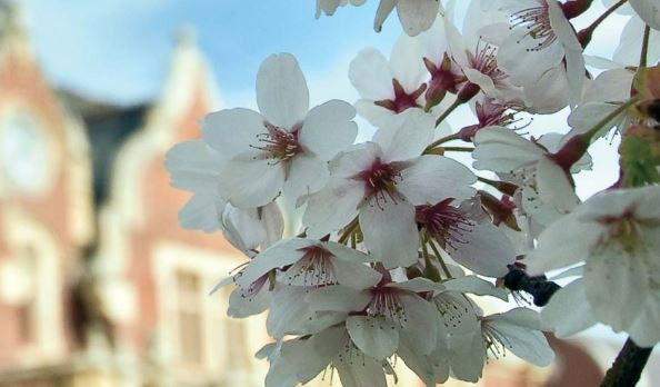 21 September 2009
Australian Political Delegation Visits Lincoln University