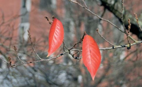 12 May 2008
'Exceptionally high' standard of scholarship applicants