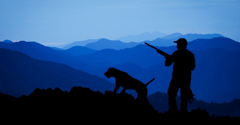 16 December 2021
Hunting motivation pursued