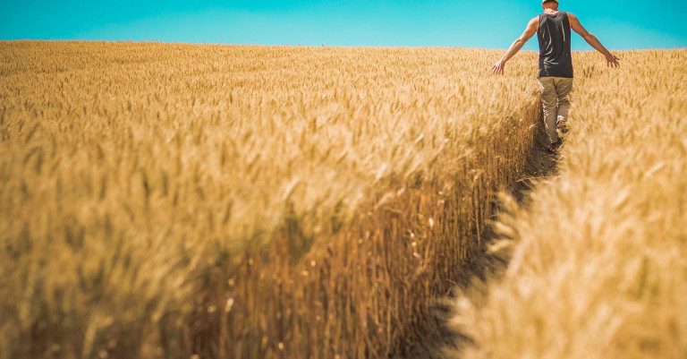 21 April 2022New book shows farmers how to be more decisive