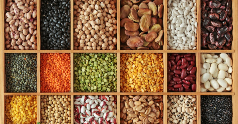 28 April 2022Lincoln and Massey Universities to collaborate on primary sector projects