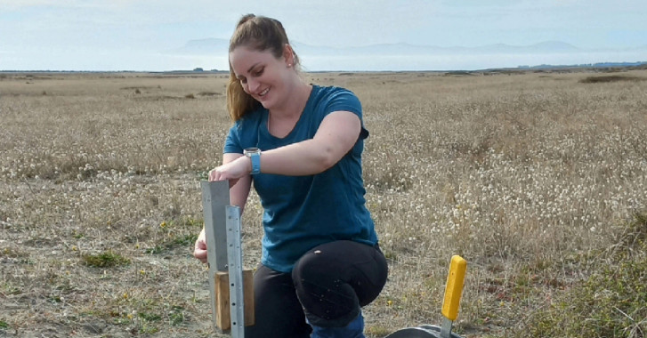 31 May 2022Lincoln instrumental to Pest Free Banks Peninsula project