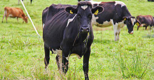 01 July 2022
Primary sector leader tells students cutting carbon is top priority