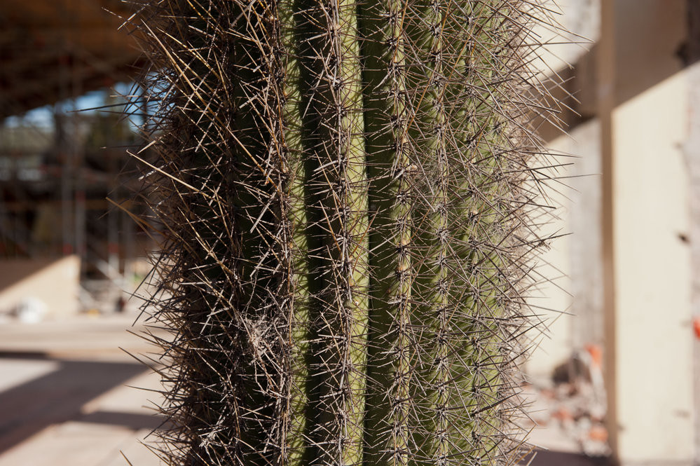 Dining Hall Deconstruction