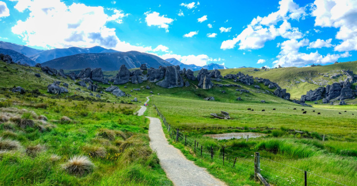 02 December 2022
Agritourism about broadening both horizons and incomes