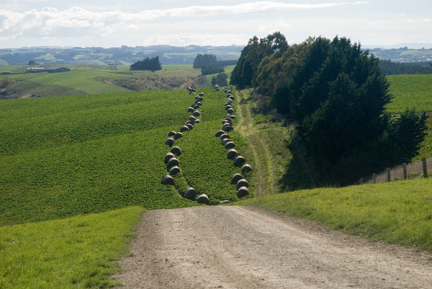 21 February 1985Organic farming costs explored at international conferences