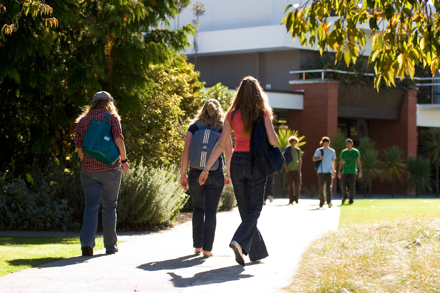 23 December 1985
Gorse control methods discussed in a new AERU report