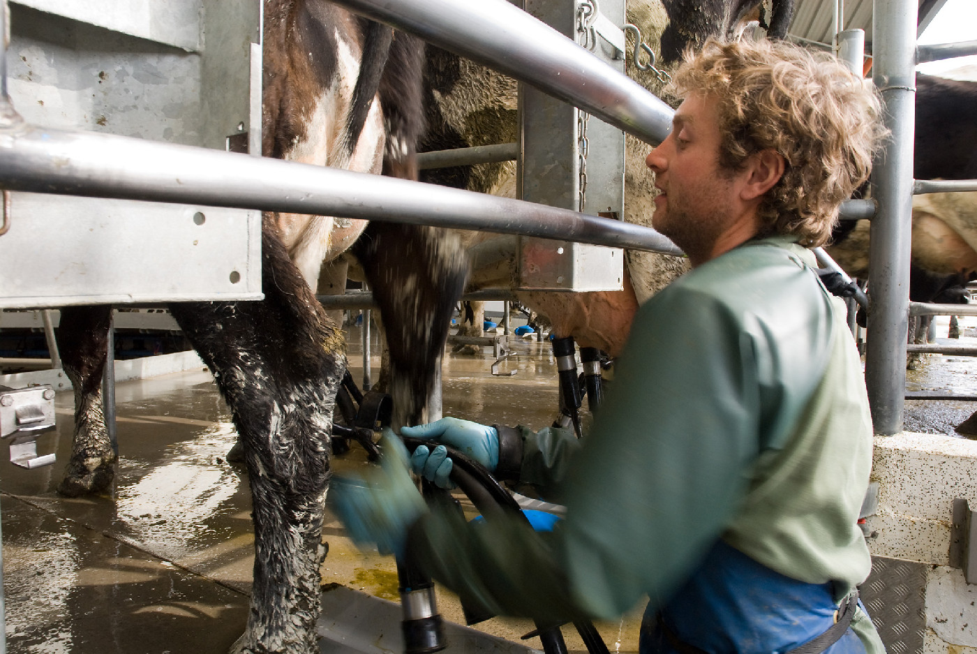 7 Feb 1986
Spending intentions of farmers studied