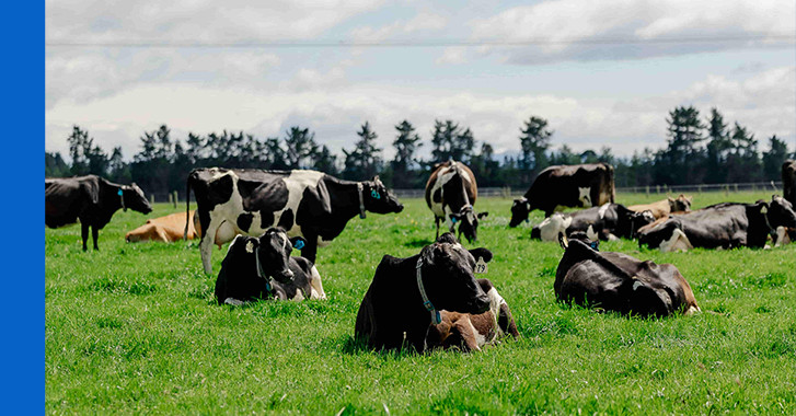 24 March 2025
What are non-tariff barriers and why is agriculture so exposed?