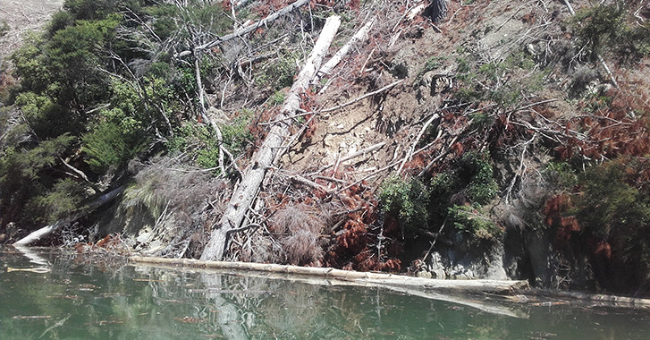 27 June 2025
The Conversation: Why proposed changes to forestry rules won&rsquo;t solve the &lsquo;slash&rsquo; problem