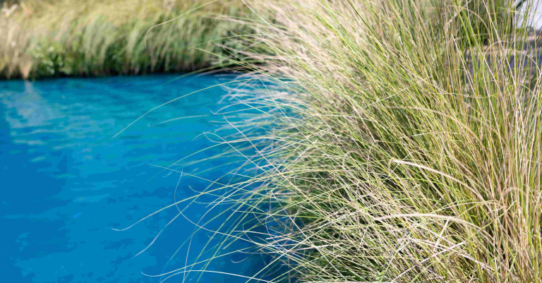 16 May 2025 
Dispelling the myth that freshwater regulation negatively impacts farm values