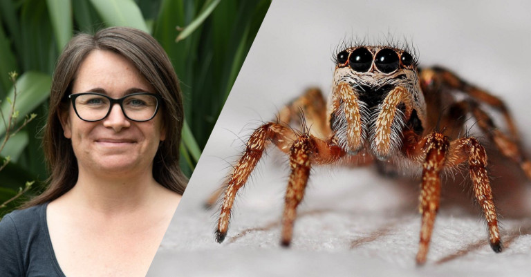 17 September 2025 
Not so creepy crawly research