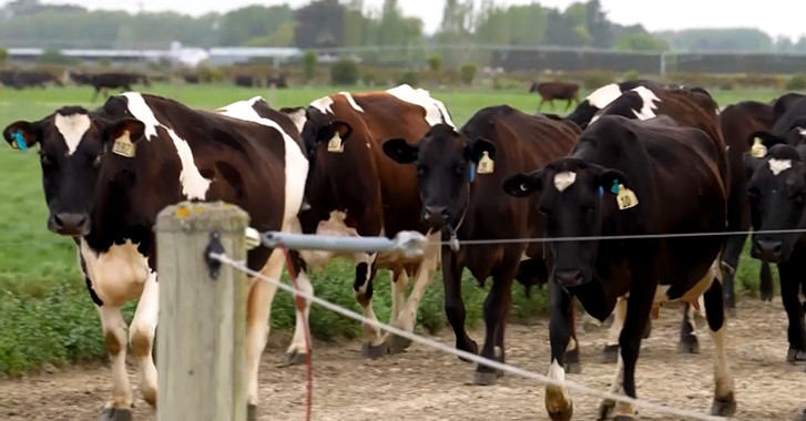 14 October 2025
Sustainable farming in focus: Integral Dairy Health Farm features on ThreeNow