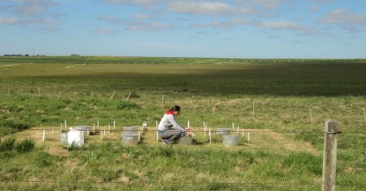12 August 2025 
Understanding Reactive Nitrogen: Implications for Agriculture, Environment and Climate