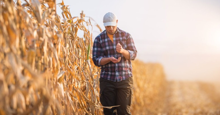 28 November 2025
The role of so-called 'accidental counsellors' in supporting mental health of farmers