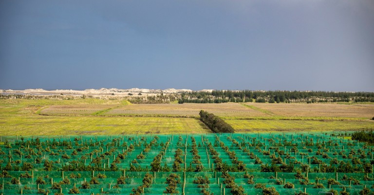 01 October 2025
The Future of Land Use and How to Fund It