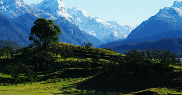 19 November 2025
State of the Nation