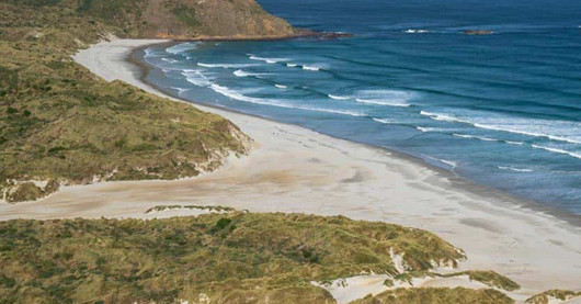 15 September 2025 
Lincoln University part of winning MBIE Endeavour project