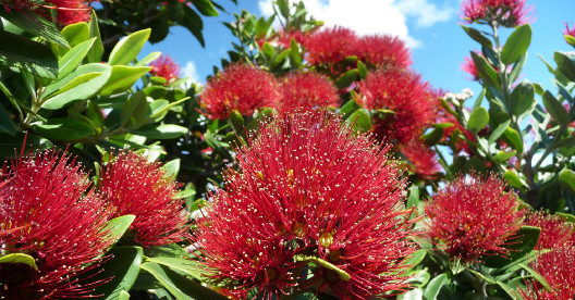 21 October 2025
Safeguarding the Future of Farming &ndash; Biosecurity at the Border and Beyond