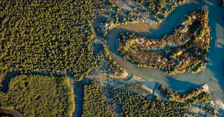 13 August 2025
Valuing Nature to Restore Coasts: A Dynamic Economic Framework for Wetland Restoration