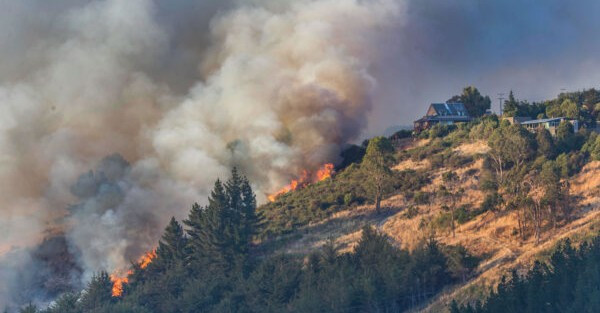 21 October 2025
Fire Ecology: Science, Risk, and Resilience