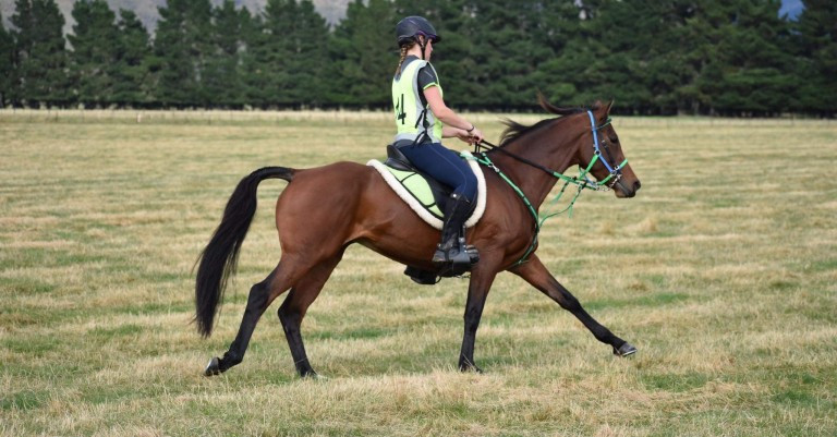 16 October 2025
Huge wave of Agri Futures Scholarships supports new and existing Lincoln Students