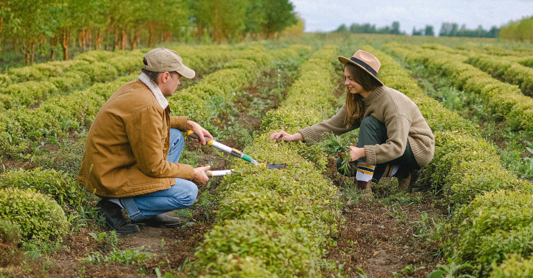 20 February 2025
Supporting the Wellbeing of Future Farmers